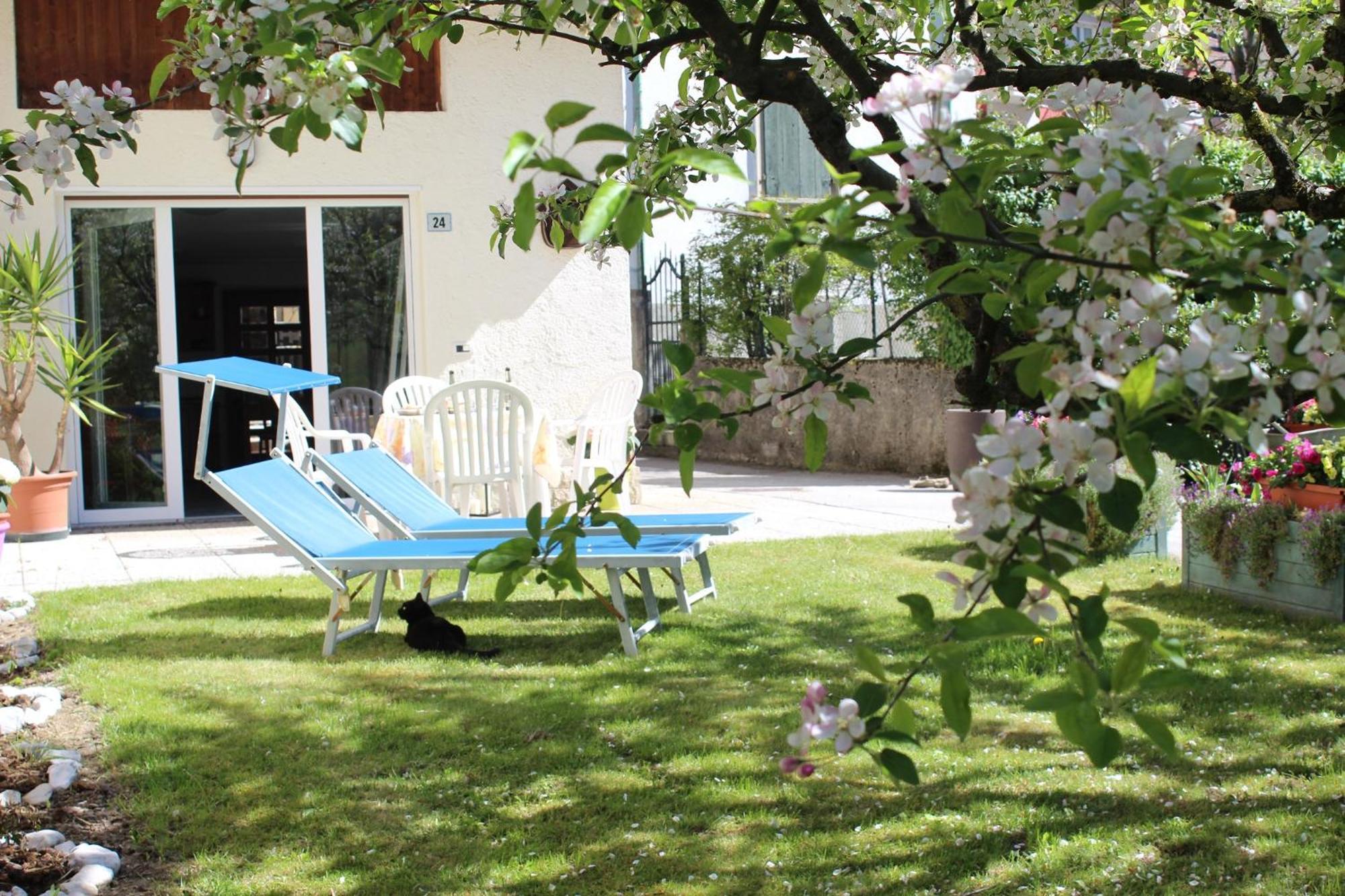 Residence Zecchini Tiarno di Sotto Habitación foto